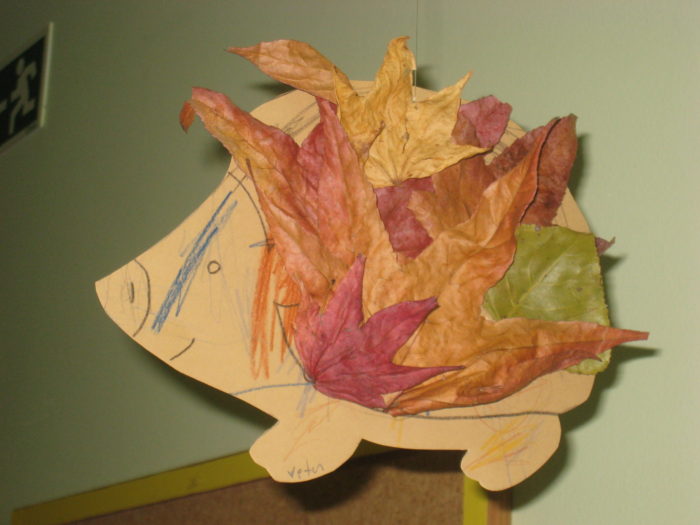 atividades-sobre-o-outono-11