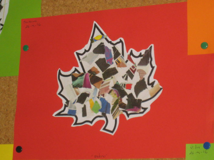 atividades-sobre-o-outono-2