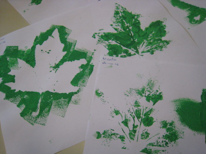 atividades-sobre-o-outono-3