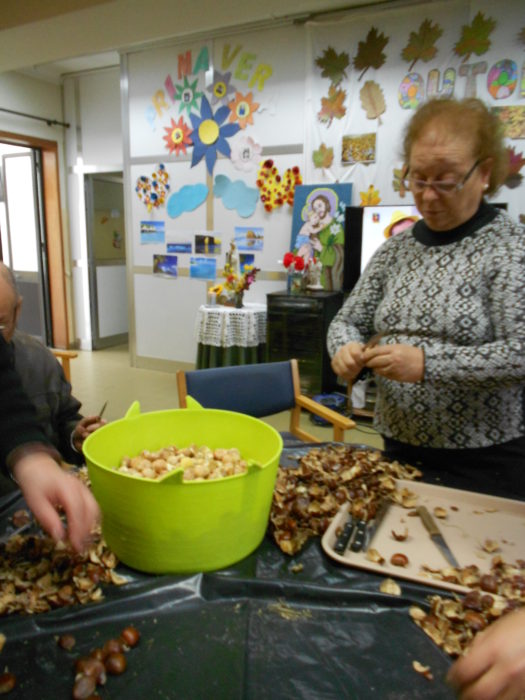 castanhas (4)