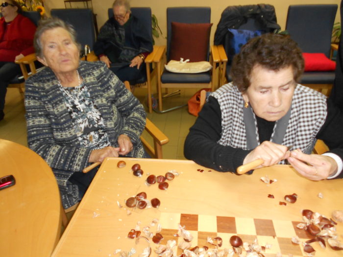 castanhas (5)